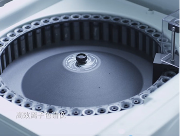 High eficiency ion chromatograph