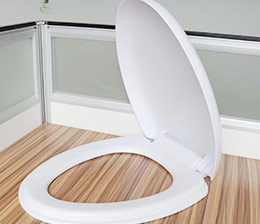 Toilet lid