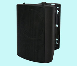Outdoor wall-mounted speaker